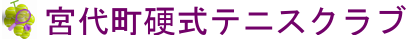 宮代町硬式テニスクラブ